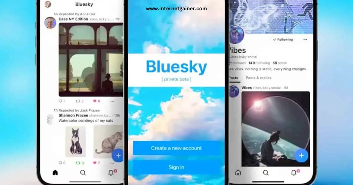 Bluesky Different from Elon Musk’s X